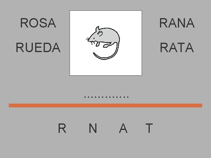 ROSA RANA RUEDA RATA. . . R N A T 