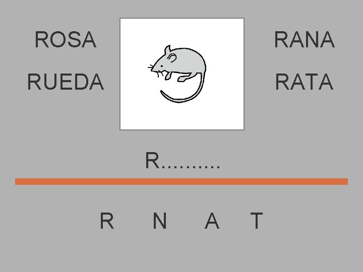 ROSA RANA RUEDA RATA R. . R N A T 