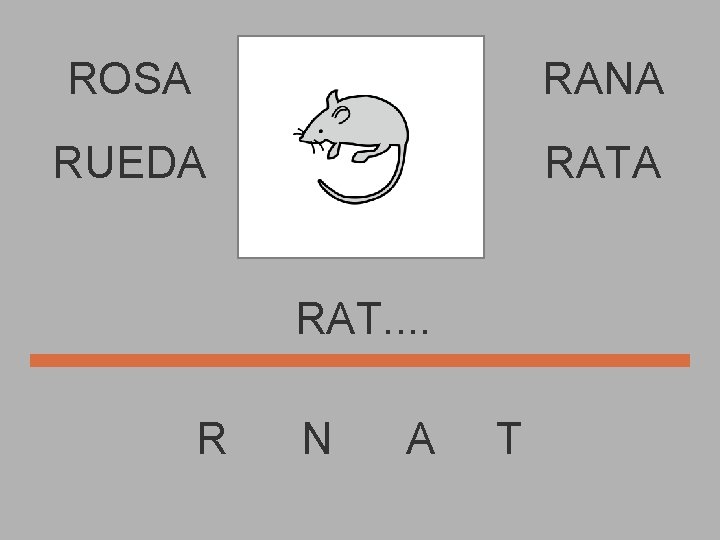 ROSA RANA RUEDA RAT. . R N A T 