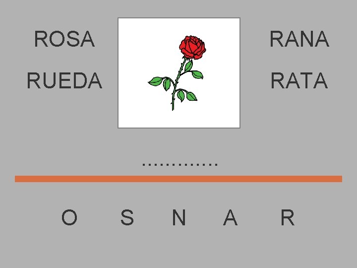 ROSA RANA RUEDA RATA. . . O S N A R 