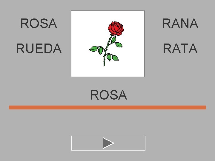 ROSA RANA RUEDA RATA ROSA 