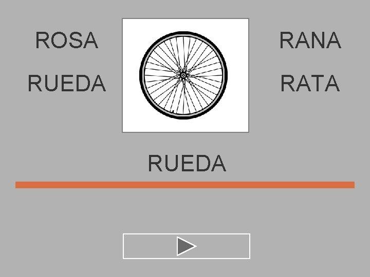 ROSA RANA RUEDA RATA RUEDA 