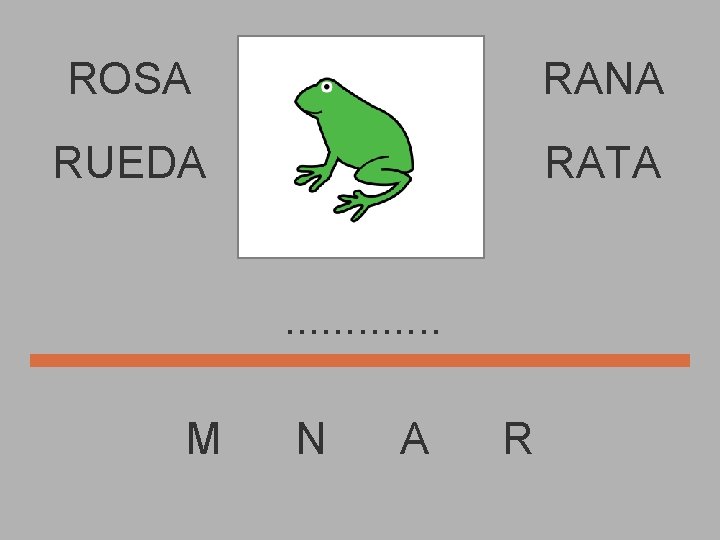 ROSA RANA RUEDA RATA. . . M N A R 