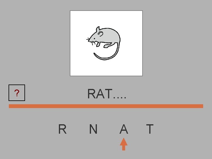 RAT. . ? R N A T 