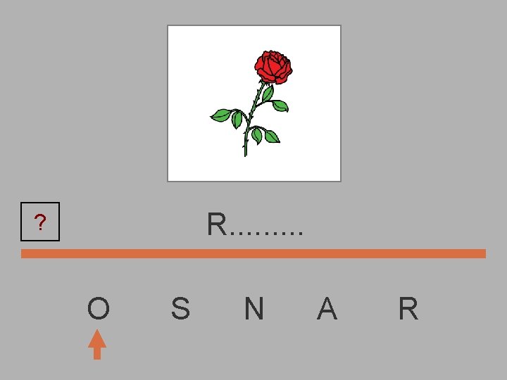 R. . ? O S N A R 