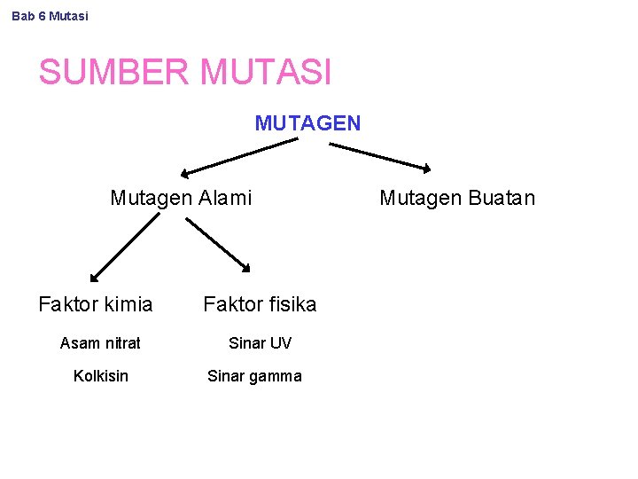 Bab 6 Mutasi SUMBER MUTASI MUTAGEN Mutagen Alami Faktor kimia Asam nitrat Kolkisin Faktor
