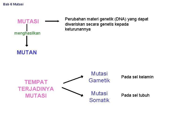 Bab 6 Mutasi MUTASI menghasilkan Perubahan materi genetik (DNA) yang dapat diwariskan secara genetis