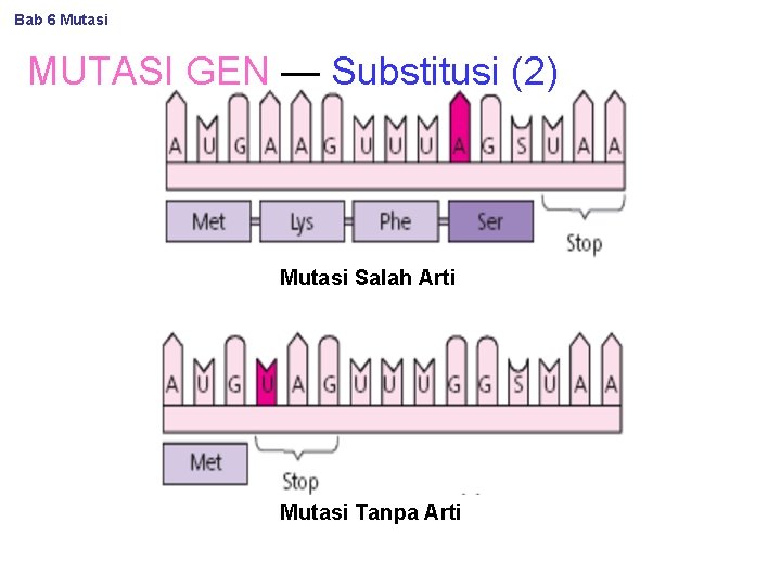 Bab 6 Mutasi MUTASI GEN — Substitusi (2) Mutasi Salah Arti Mutasi Tanpa Arti