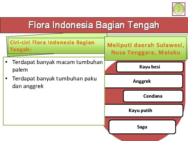 Flora Indonesia Bagian Tengah Ciri-ciri Flora Indonesia Bagian Tengah: • Terdapat banyak macam tumbuhan