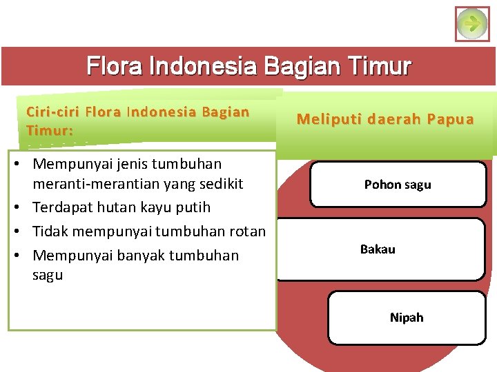 Flora Indonesia Bagian Timur Ciri-ciri Flora Indonesia Bagian Timur: • Mempunyai jenis tumbuhan meranti-merantian