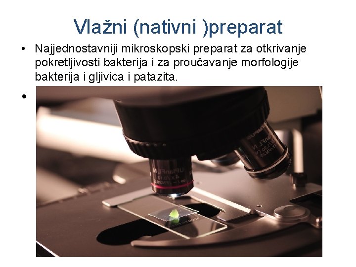 Vlažni (nativni )preparat • Najjednostavniji mikroskopski preparat za otkrivanje pokretljivosti bakterija i za proučavanje