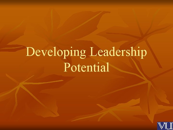 Developing Leadership Potential 