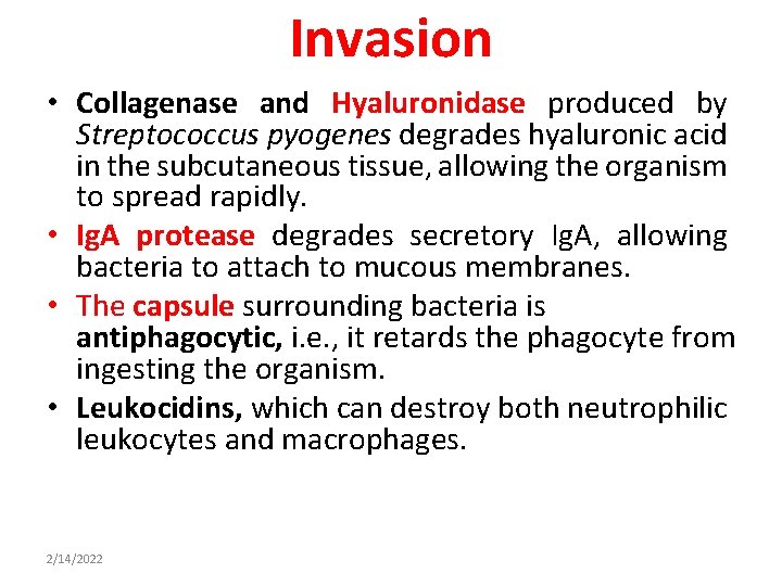 Invasion • Collagenase and Hyaluronidase produced by Streptococcus pyogenes degrades hyaluronic acid in the