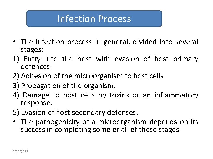 Infection Process • The infection process in general, divided into several stages: 1) Entry