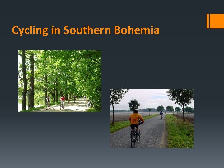 Cycling in Southern Bohemia 