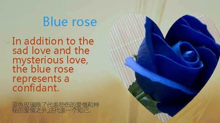Blue rose In addition to the sad love and the mysterious love, the blue