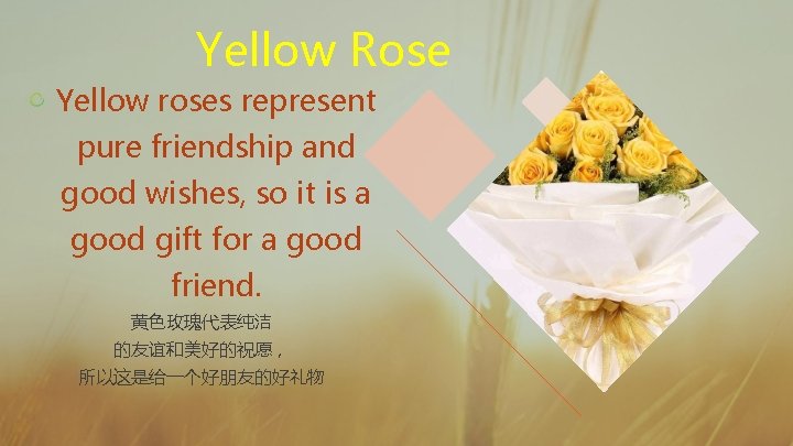 Yellow Rose Yellow roses represent pure friendship and good wishes, so it is a