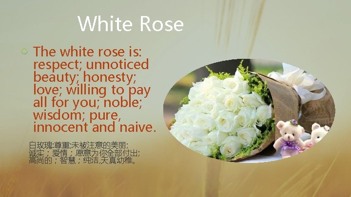 White Rose The white rose is: respect; unnoticed beauty; honesty; love; willing to pay