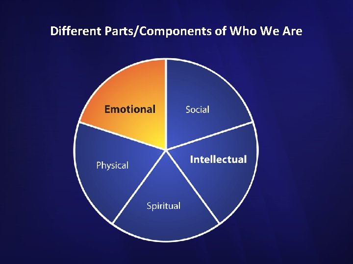 Different Parts/Components of Who We Are 