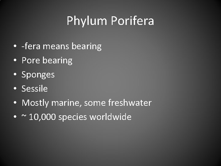 Phylum Porifera • • • -fera means bearing Pore bearing Sponges Sessile Mostly marine,