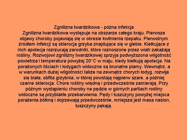 Zgnilizna twardzikowa - późna infekcja Zgnilizna twardzikowa występuje na obszarze całego kraju. Pierwsze objawy