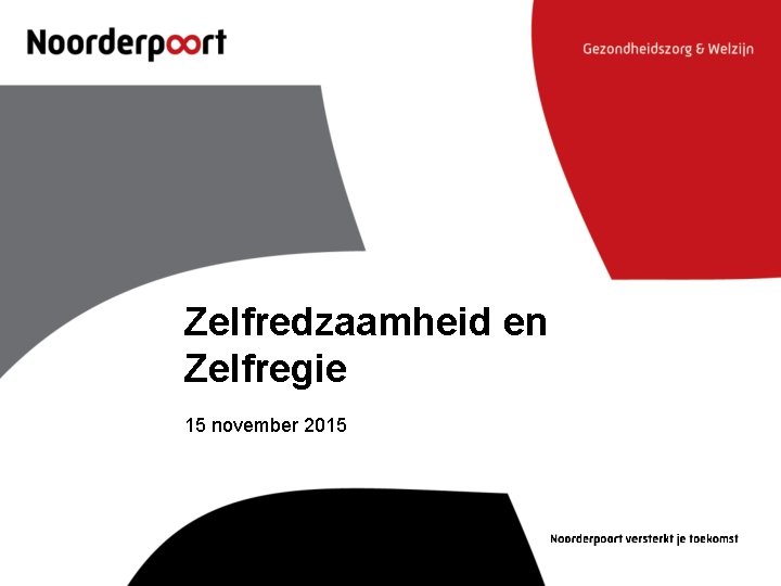 Zelfredzaamheid en Zelfregie 15 november 2015 