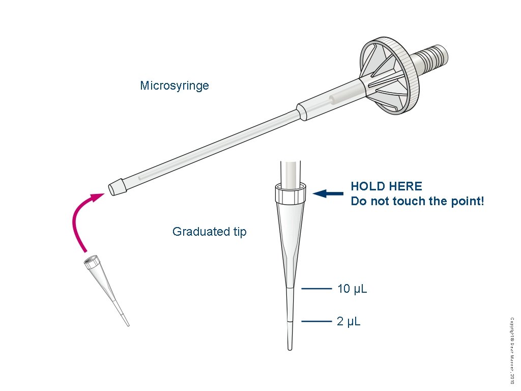 Microsyringe HOLD HERE Do not touch the point! Graduated tip 10 µL Copyright ©