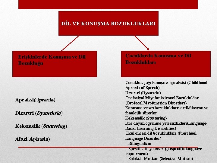 DİL VE KONUŞMA BOZUKLUKLARI Erişkinlerde Konuşma ve Dil Bozukluğu Apraksi(Apraxia) Dizartri (Dysarthria) Kekemelik (Stuttering)