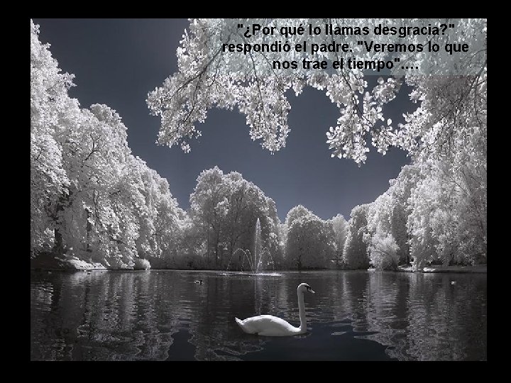 "¿Por qué lo llamas desgracia? " respondió el padre. "Veremos lo que nos trae