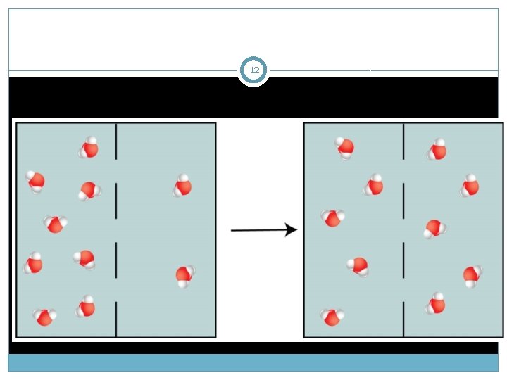 Movement through the cell membrane 1 Characteristics of