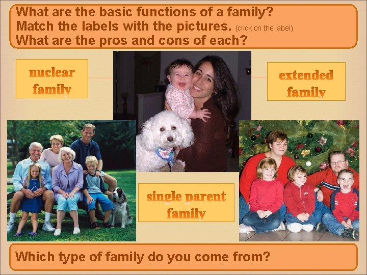 What are the basic functions of a family? Match the labels with the pictures.