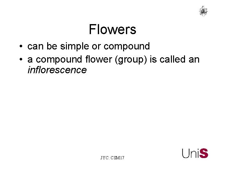 Flowers • can be simple or compound • a compound flower (group) is called