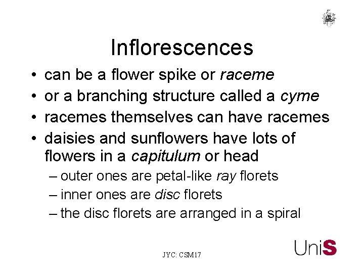 Inflorescences • • can be a flower spike or raceme or a branching structure