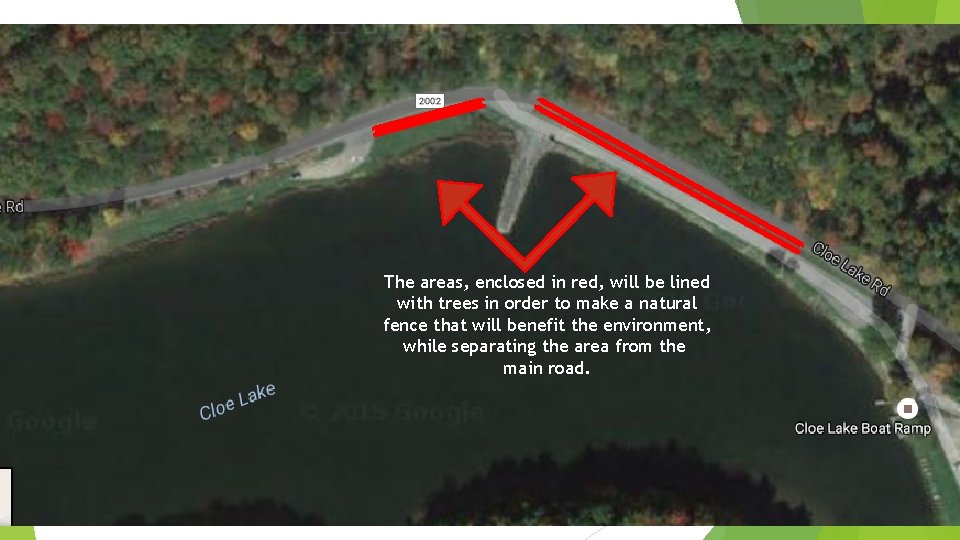 The areas, enclosed in red, will be lined with trees in order to make