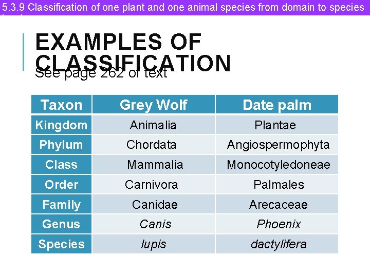 5. 3. 9 Classification of one plant and one animal species from domain to