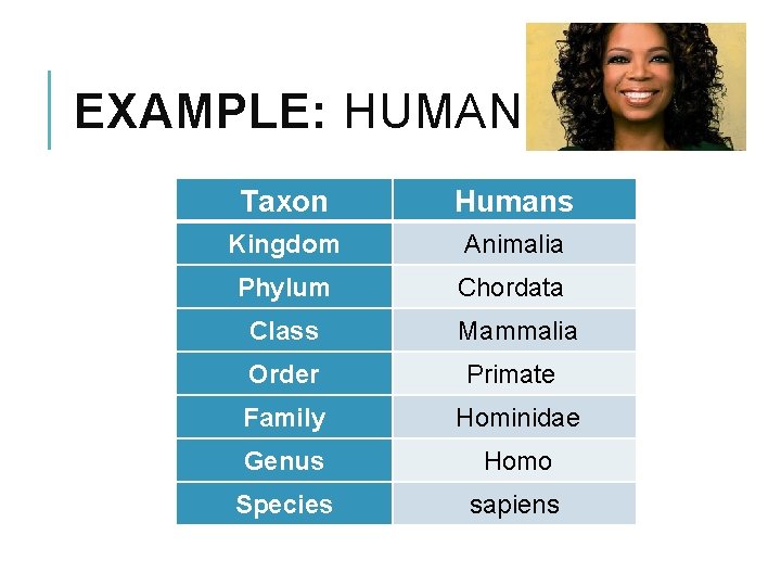 EXAMPLE: HUMANS Taxon Humans Kingdom Animalia Phylum Chordata Class Mammalia Order Primate Family Hominidae