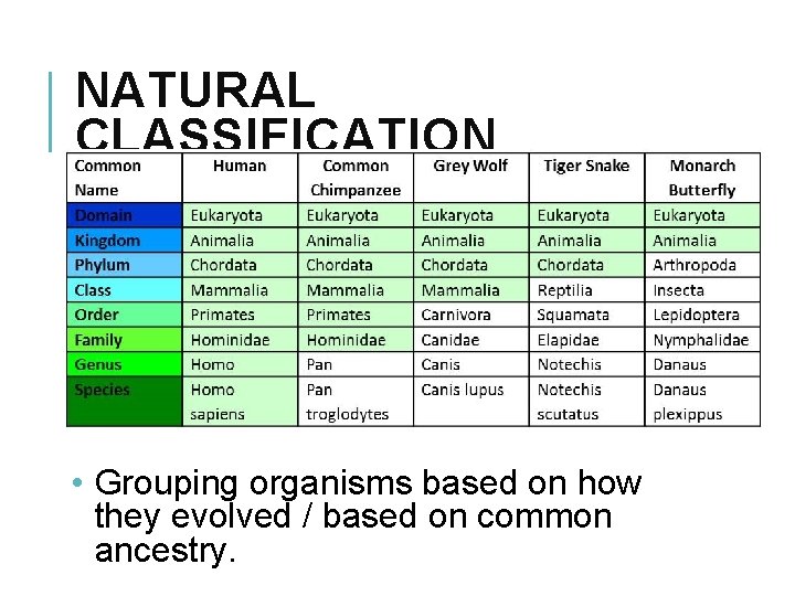 NATURAL CLASSIFICATION • Grouping organisms based on how they evolved / based on common