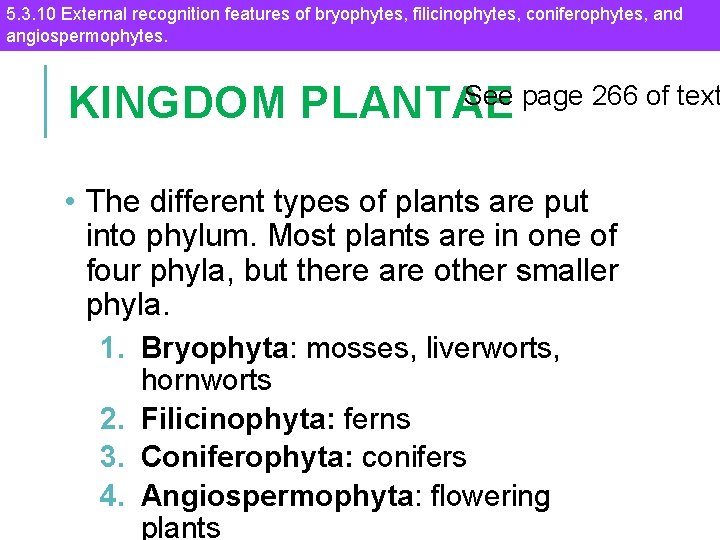 5. 3. 10 External recognition features of bryophytes, filicinophytes, coniferophytes, and angiospermophytes. See page