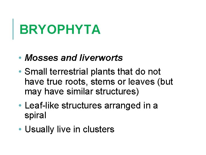 BRYOPHYTA • Mosses and liverworts • Small terrestrial plants that do not have true