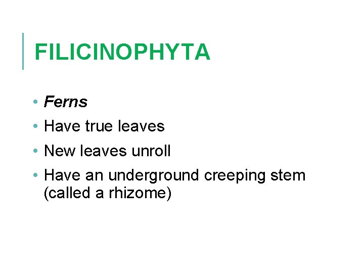 FILICINOPHYTA • • Ferns Have true leaves New leaves unroll Have an underground creeping