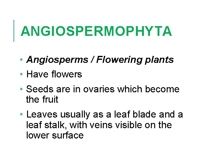 ANGIOSPERMOPHYTA • Angiosperms / Flowering plants • Have flowers • Seeds are in ovaries