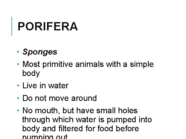 PORIFERA • Sponges • Most primitive animals with a simple body • Live in