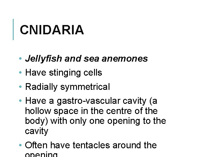 CNIDARIA • • Jellyfish and sea anemones Have stinging cells Radially symmetrical Have a
