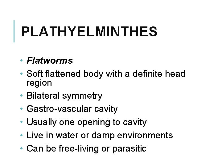 PLATHYELMINTHES • Flatworms • Soft flattened body with a definite head region • Bilateral