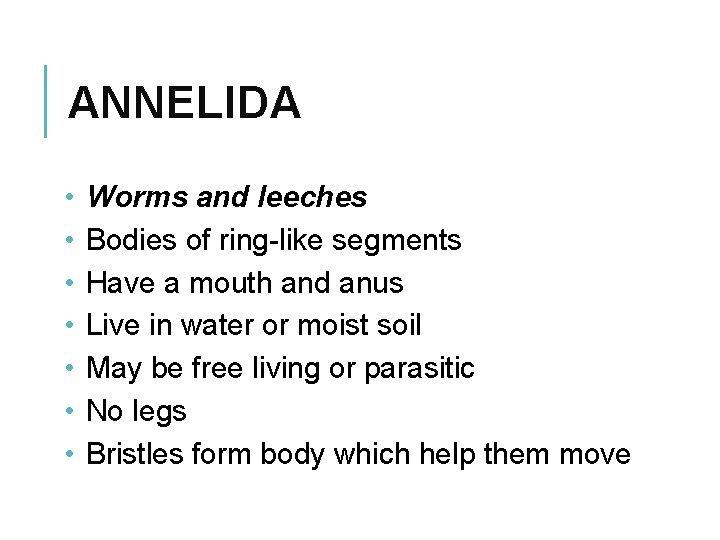 ANNELIDA • • Worms and leeches Bodies of ring-like segments Have a mouth and