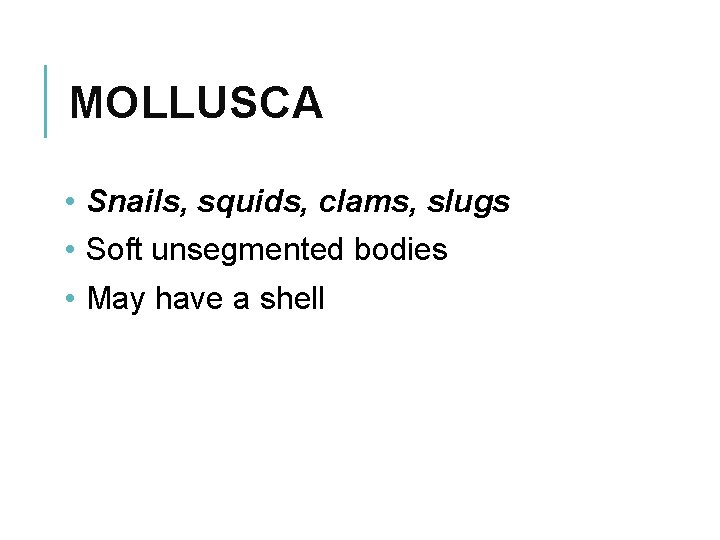 MOLLUSCA • Snails, squids, clams, slugs • Soft unsegmented bodies • May have a