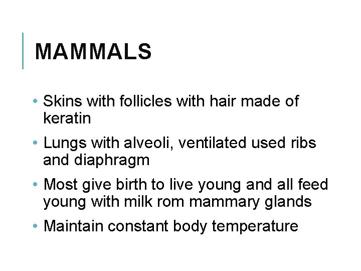MAMMALS • Skins with follicles with hair made of keratin • Lungs with alveoli,