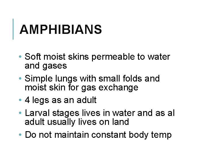 AMPHIBIANS • Soft moist skins permeable to water and gases • Simple lungs with