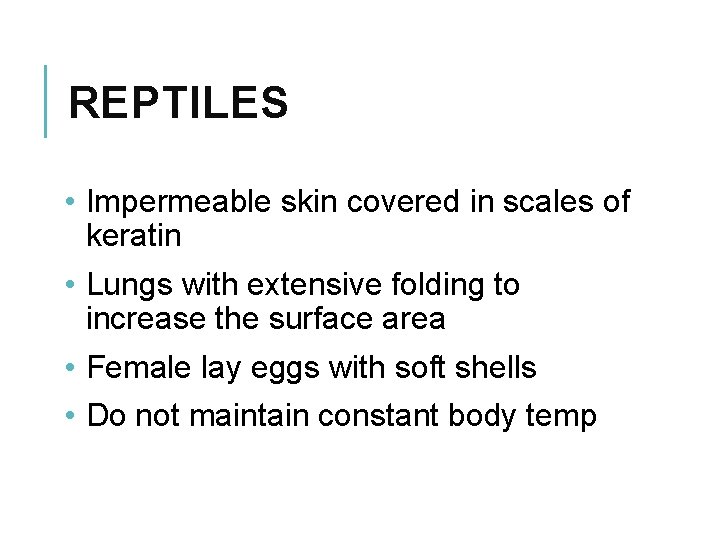 REPTILES • Impermeable skin covered in scales of keratin • Lungs with extensive folding
