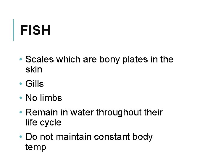 FISH • Scales which are bony plates in the skin • Gills • No